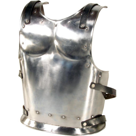 Backplate For Warrior Or Drake-GoblinSmith