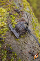 Elven Holster Hook-GoblinSmith