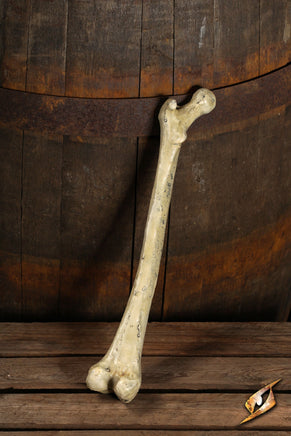 Thigh Bone-GoblinSmith