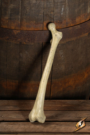Thigh Bone-GoblinSmith