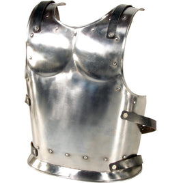 Backplate For Warrior Or Drake-GoblinSmith