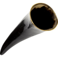 Carved Wolf Drinking Horn With Stand-GoblinSmith
