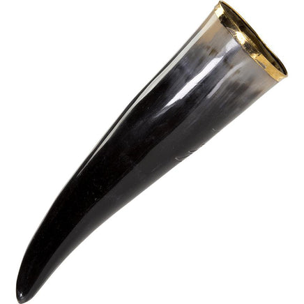 Carved Wolf Drinking Horn With Stand-GoblinSmith